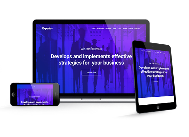 Expertus - Business / Corporate / Company Responsive Muse Template - 1