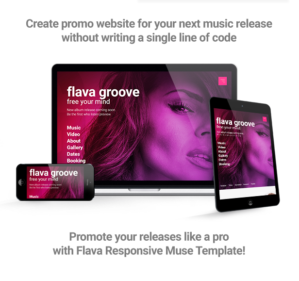 Flava - Album / Single Release Promo and DJ / Music Band Responsive Muse Template - 1